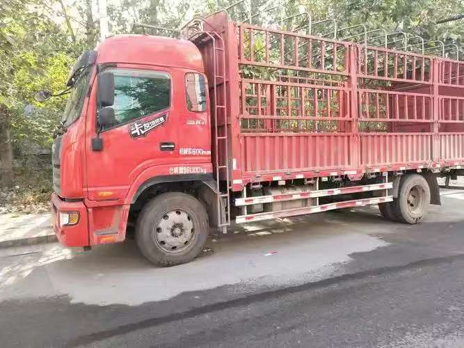 高效变现 二手车免费上门回收电话一打就到